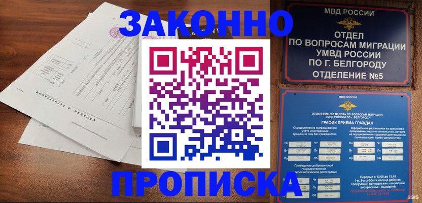 прописка в Коле